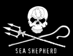 Sea Shepherd